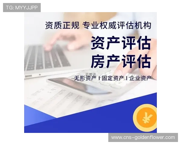 第三方审计机构介入评估，确保流量数据真实可信。