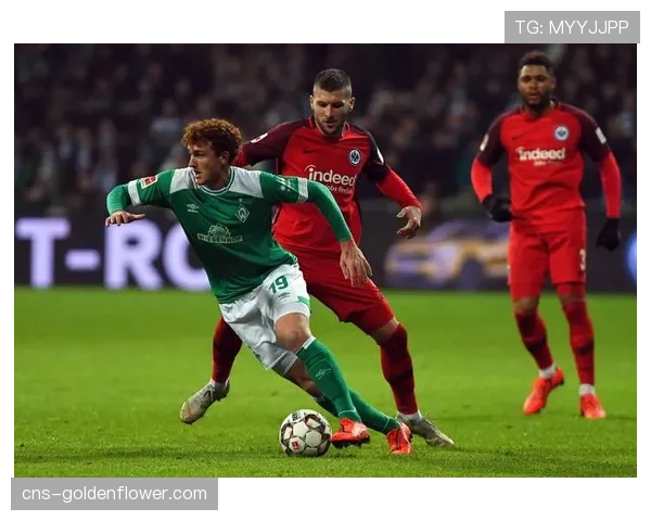 深度复盘：斯图加特高位逼抢如何击穿法兰克福防线